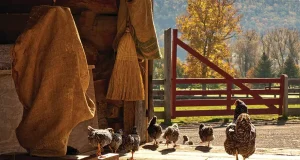 Home Hardware Strengthens Support to Canadian Farmers with New Product Assortment