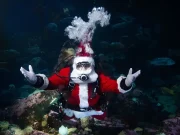 Vancouver Aquarium Announces The Return of Scuba Claus for Holiday Splash 2025