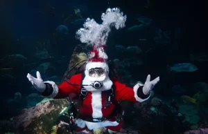 Vancouver Aquarium Announces The Return of Scuba Claus for Holiday Splash 2025