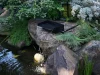 POPOSOAP Solar Fountain: The Upgrade I Didn’t Expect