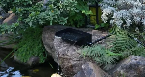 POPOSOAP Solar Fountain: The Upgrade I Didn’t Expect