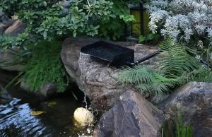 POPOSOAP Solar Fountain: The Upgrade I Didn’t Expect
