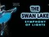 Swan Lake: Symphony of Lights Brings a Dazzling New Vision to Victoria